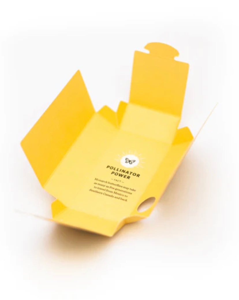 Moon Valley Organics - Carrot shampoo